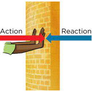 Action Reaction